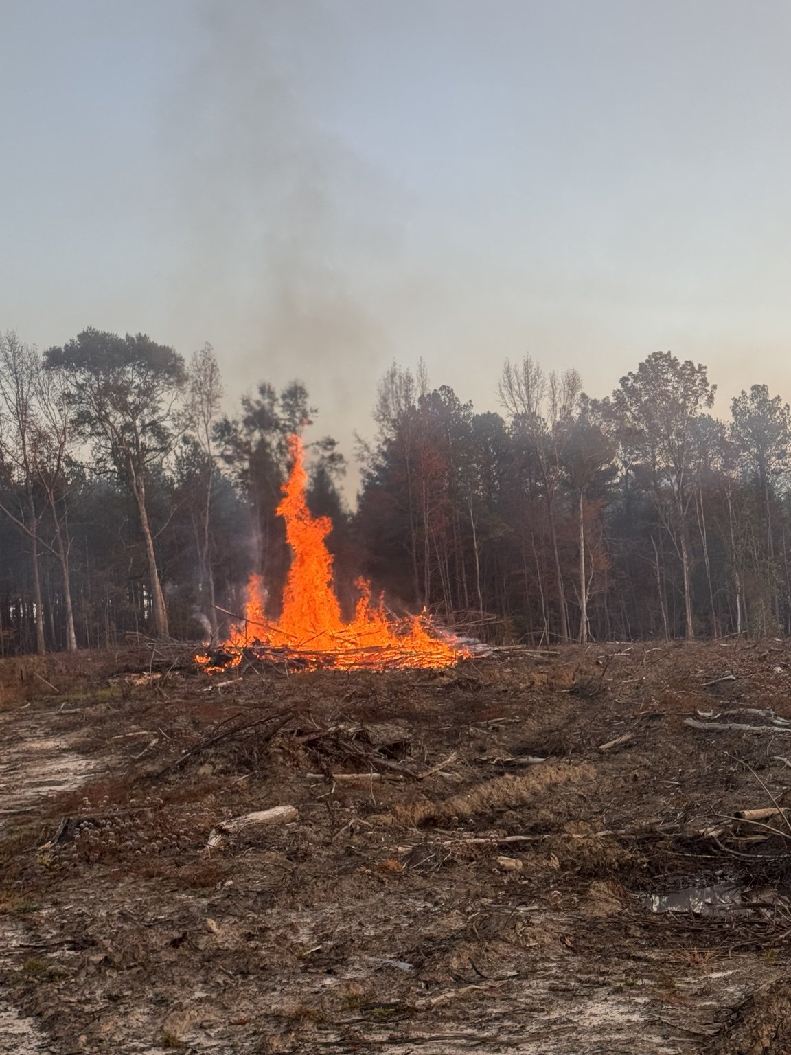 Slash & burn — TR Southern Timber Co. job photo