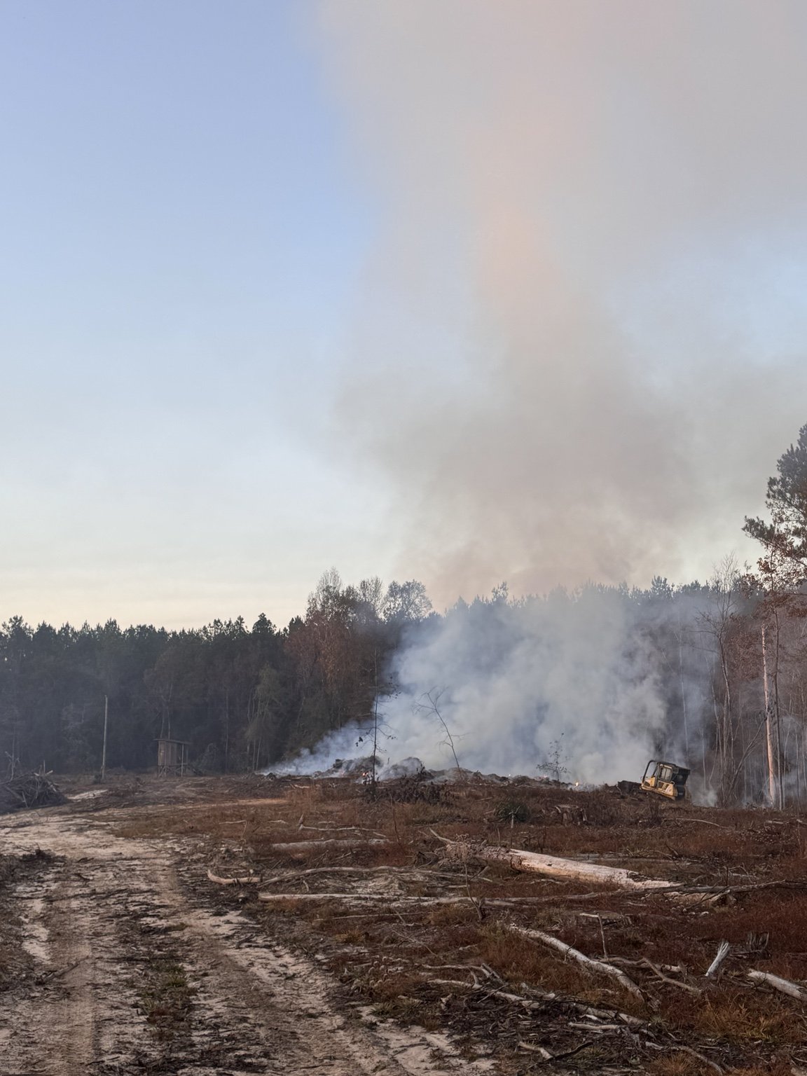Land clearing in progress — TR Southern Timber Co. job photo